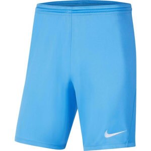 Vyriški futbolo šortai Nike Park III, L